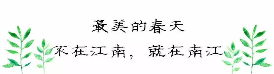 贵阳富硒茶可以减肥吗（硒减肥）-硒宝网