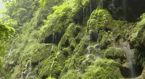 贵阳富硒茶可以减肥吗（硒减肥）-硒宝网