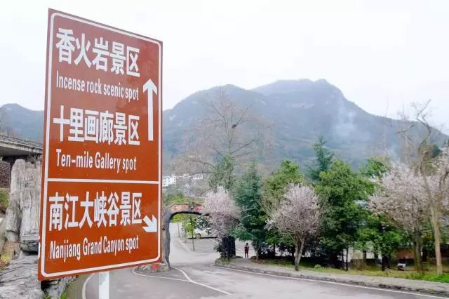 贵阳富硒茶可以减肥吗（硒减肥）-硒宝网