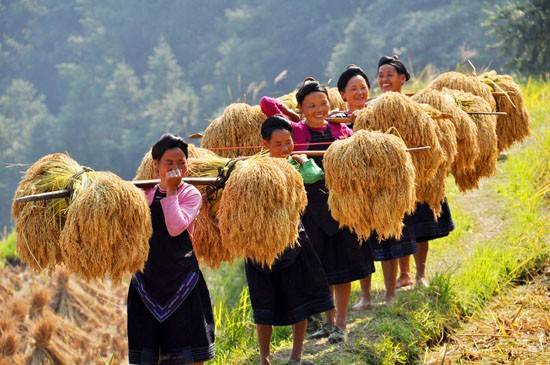 贵阳富硒茶可以减肥吗(减肥茶可靠吗)-硒宝网