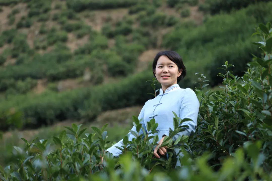 富硒金桔茶有什么功效(金果富硒茶)-硒宝网