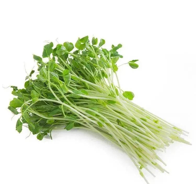 宝宝吃什么食物补锌(宝宝吃锌补什么)-硒宝网