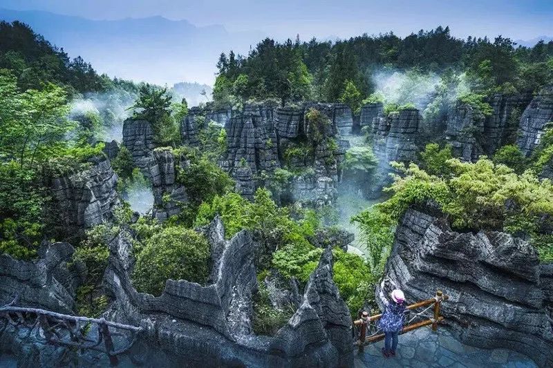 恩施富硒藤茶价格多少(恩施富硒藤茶的功效与作用)-硒宝网