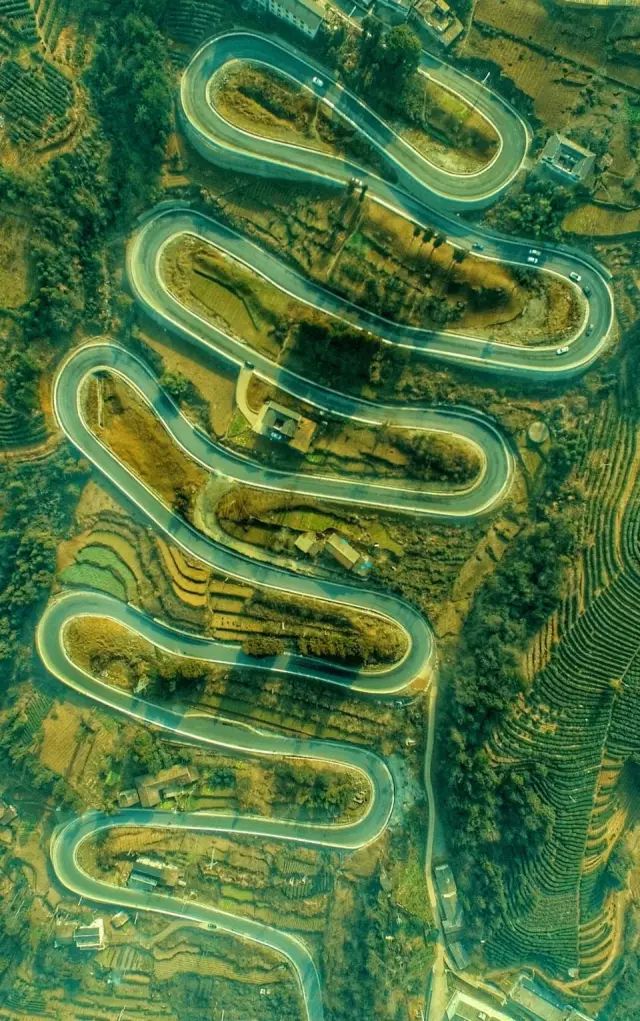 恩施富硒藤茶价格多少(恩施富硒藤茶的功效与作用)-硒宝网