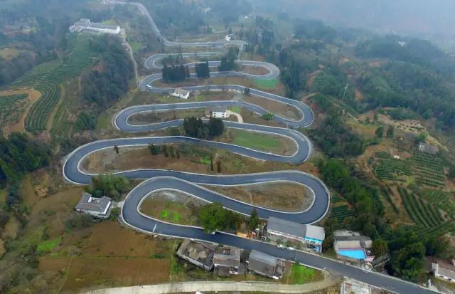 恩施富硒藤茶价格多少(恩施富硒藤茶的功效与作用)-硒宝网