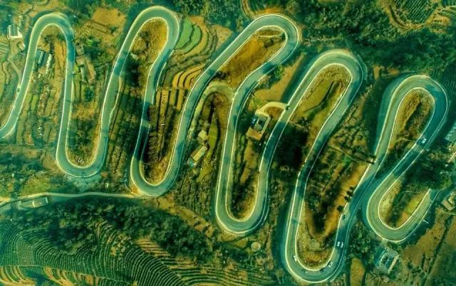 恩施富硒藤茶价格多少(恩施富硒藤茶的功效与作用)-硒宝网