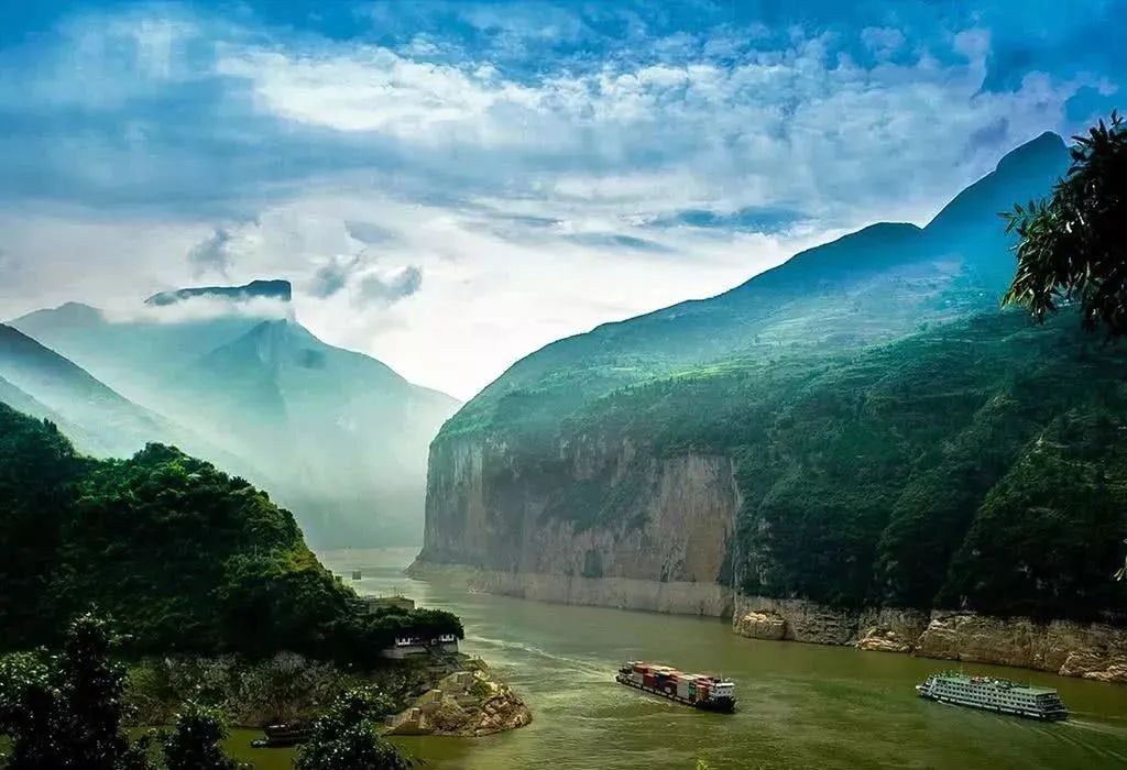 恩施富硒藤茶价格多少(恩施富硒藤茶的功效与作用)-硒宝网