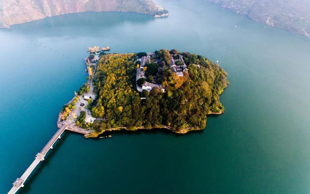 恩施富硒藤茶价格多少(恩施富硒藤茶的功效与作用)-硒宝网