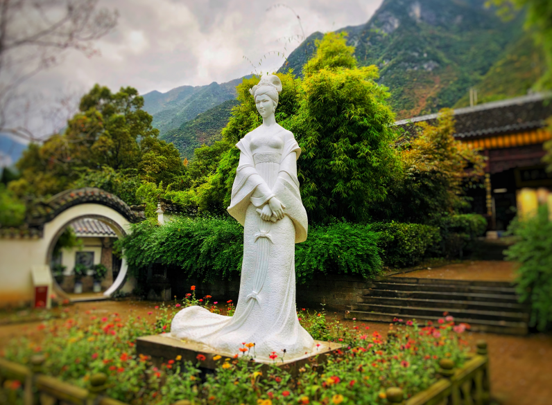 恩施富硒藤茶价格多少(恩施富硒藤茶的功效与作用)-硒宝网