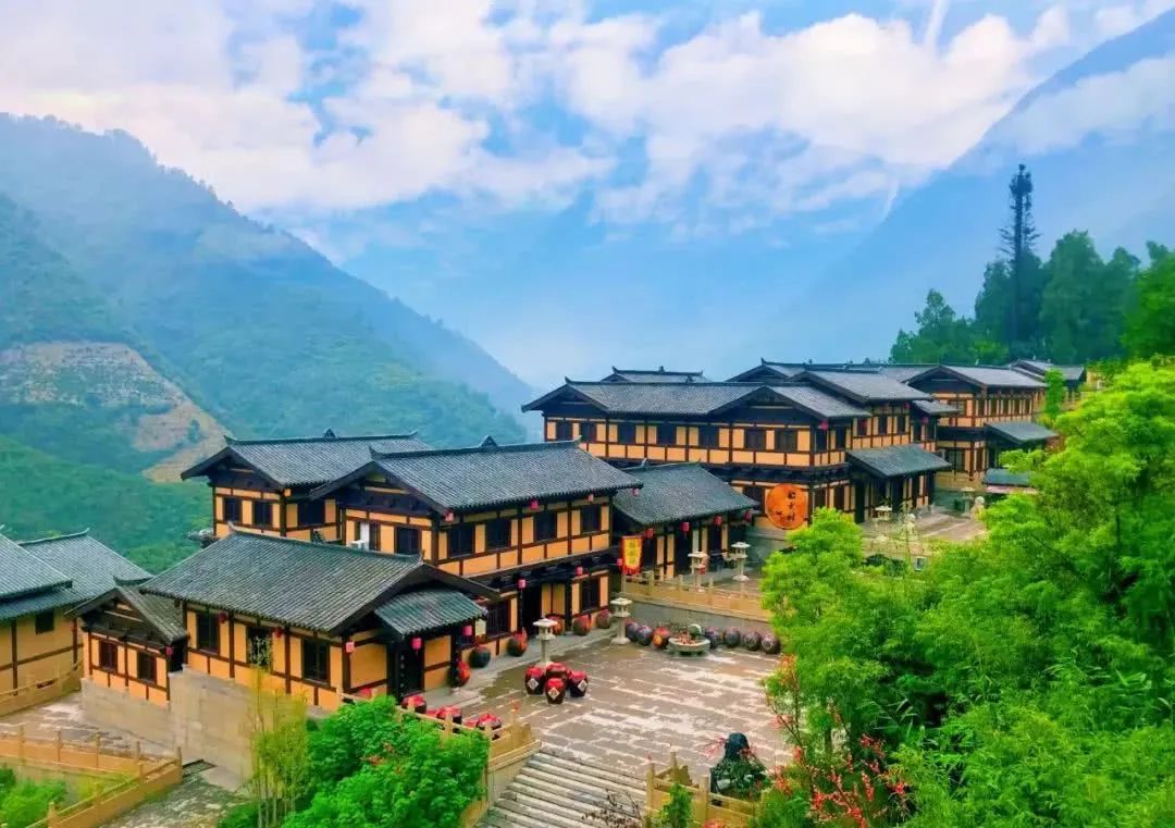 恩施富硒藤茶价格多少(恩施富硒藤茶的功效与作用)-硒宝网