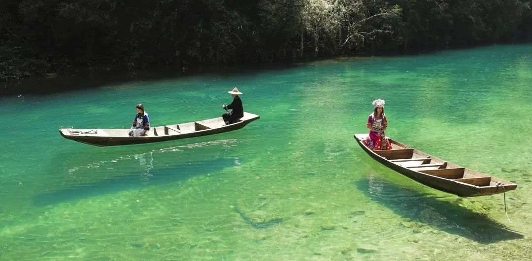 恩施富硒藤茶价格多少(恩施富硒藤茶的功效与作用)-硒宝网