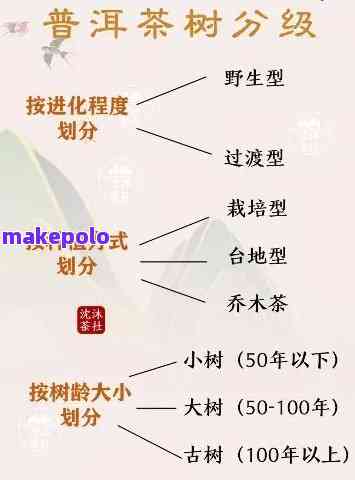 云南富硒茶产地在哪里（云南富硒在哪里）-硒宝网