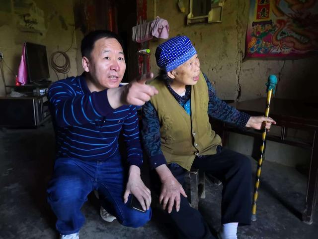 紫阳富硒茶的茶树品种（富硒紫阳茶多少钱一斤）-硒宝网