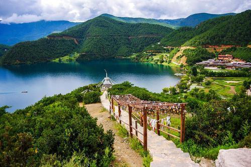 云南富硒茶产地在哪里(云南富硒古树茶)-硒宝网