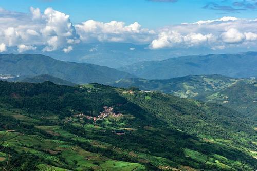 云南富硒茶产地在哪里(云南富硒古树茶)-硒宝网