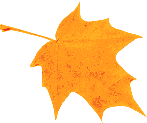 恩施富硒玉露茶的功效（湖北恩施玉露茶叶）-硒宝网