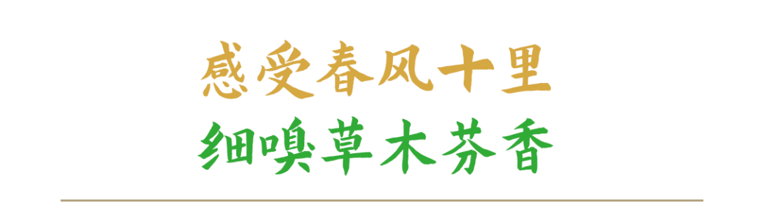 恩施富硒玉露茶的功效(恩施玉露富硒茶多少钱)-硒宝网