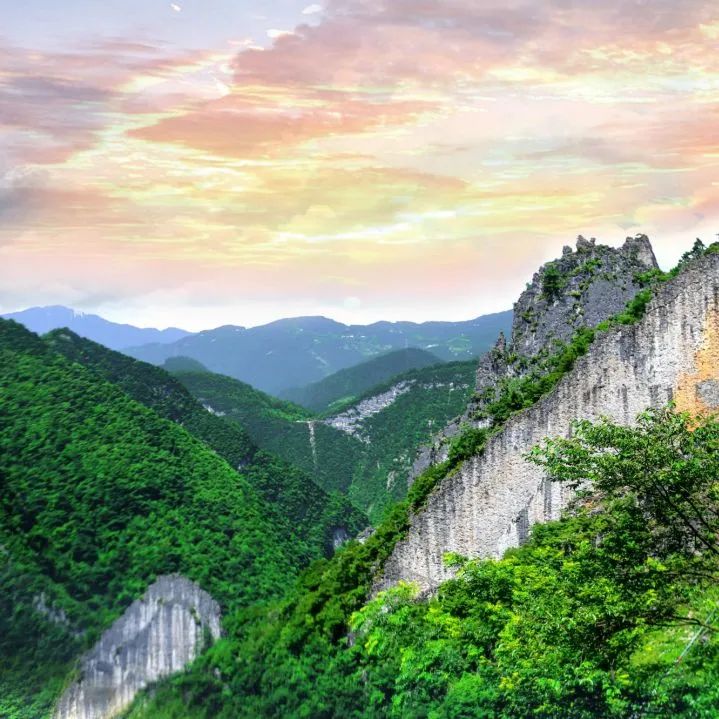 安徽有名的恩施富硒茶（恩施富硒茶十大排名）-硒宝网