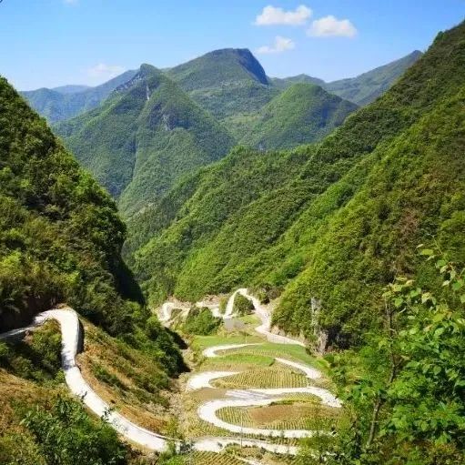 安徽有名的恩施富硒茶（恩施富硒茶十大排名）-硒宝网