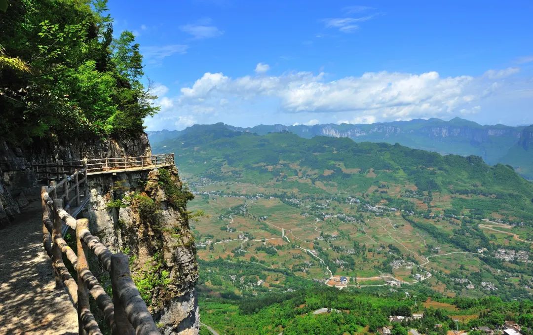 安徽有名的恩施富硒茶（恩施富硒茶十大排名）-硒宝网