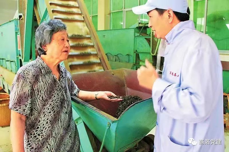 陕西富硒茶产地在哪里(陕南富硒茶叶)-硒宝网