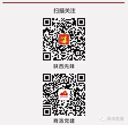 陕西富硒茶产地在哪里(陕南富硒茶叶)-硒宝网