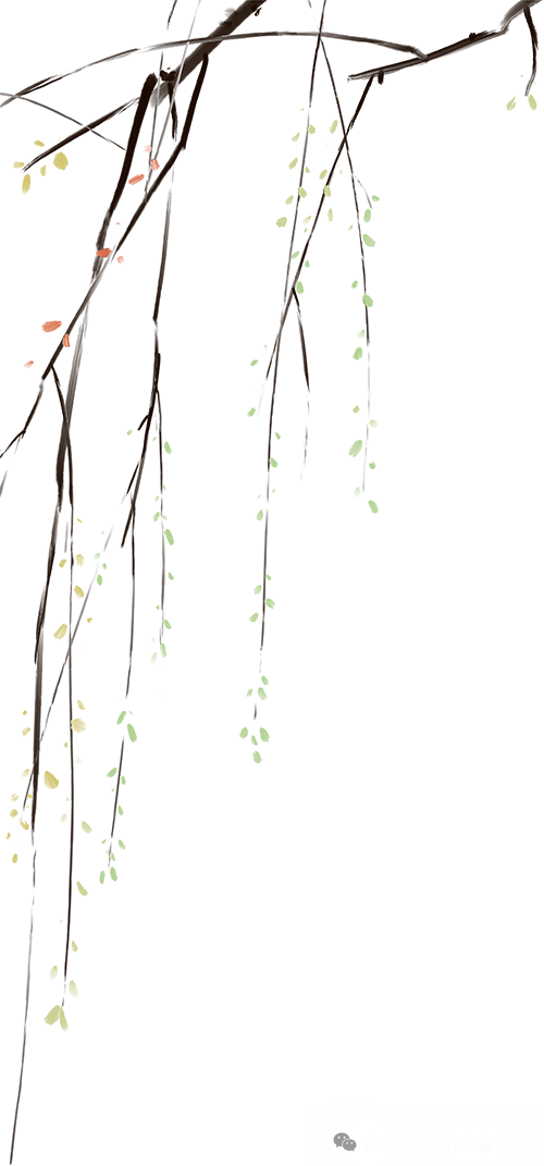 安康富硒茶品质展示图(安康茶业)-硒宝网