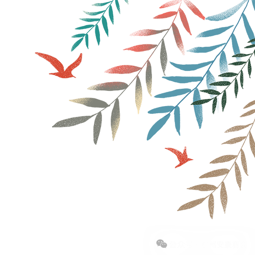 安康富硒茶品质展示图(安康茶业)-硒宝网