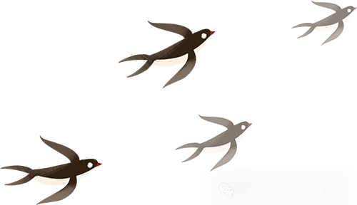 安康富硒茶品质展示图(安康茶业)-硒宝网