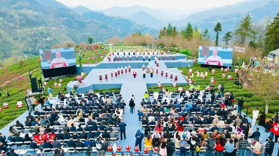 安康富硒茶品质展示图(安康茶业)-硒宝网