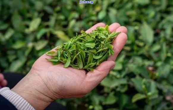 云南富硒茶产地是哪里（云南富硒红茶）-硒宝网