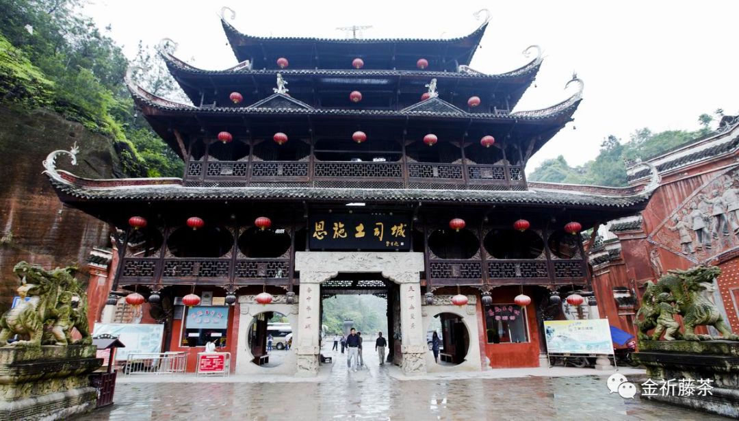 天气凉了喝点富硒藤茶（天气凉喝富硒点藤茶可以吗）-硒宝网