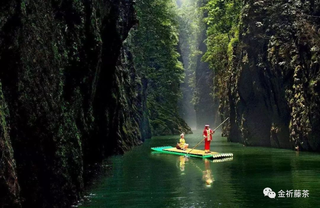天气凉了喝点富硒藤茶（天气凉喝富硒点藤茶可以吗）-硒宝网