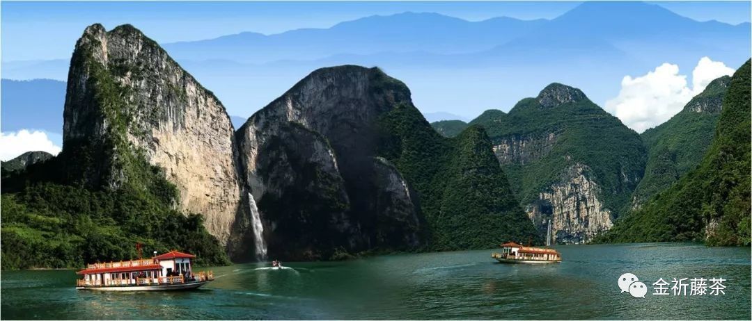 天气凉了喝点富硒藤茶（天气凉喝富硒点藤茶可以吗）-硒宝网