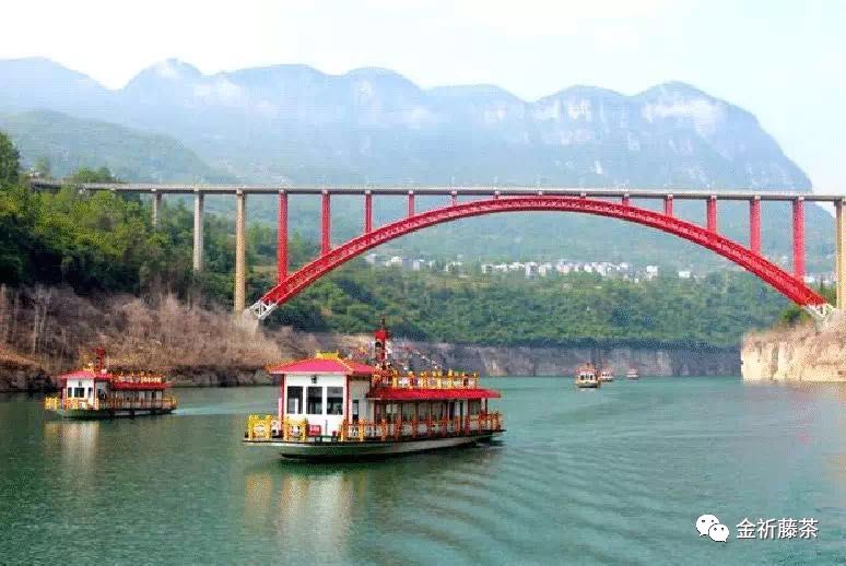 天气凉了喝点富硒藤茶（天气凉喝富硒点藤茶可以吗）-硒宝网