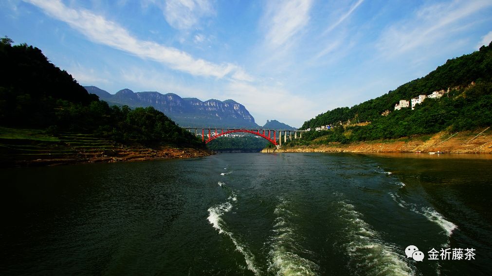 天气凉了喝点富硒藤茶（天气凉喝富硒点藤茶可以吗）-硒宝网