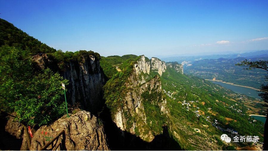 天气凉了喝点富硒藤茶（天气凉喝富硒点藤茶可以吗）-硒宝网