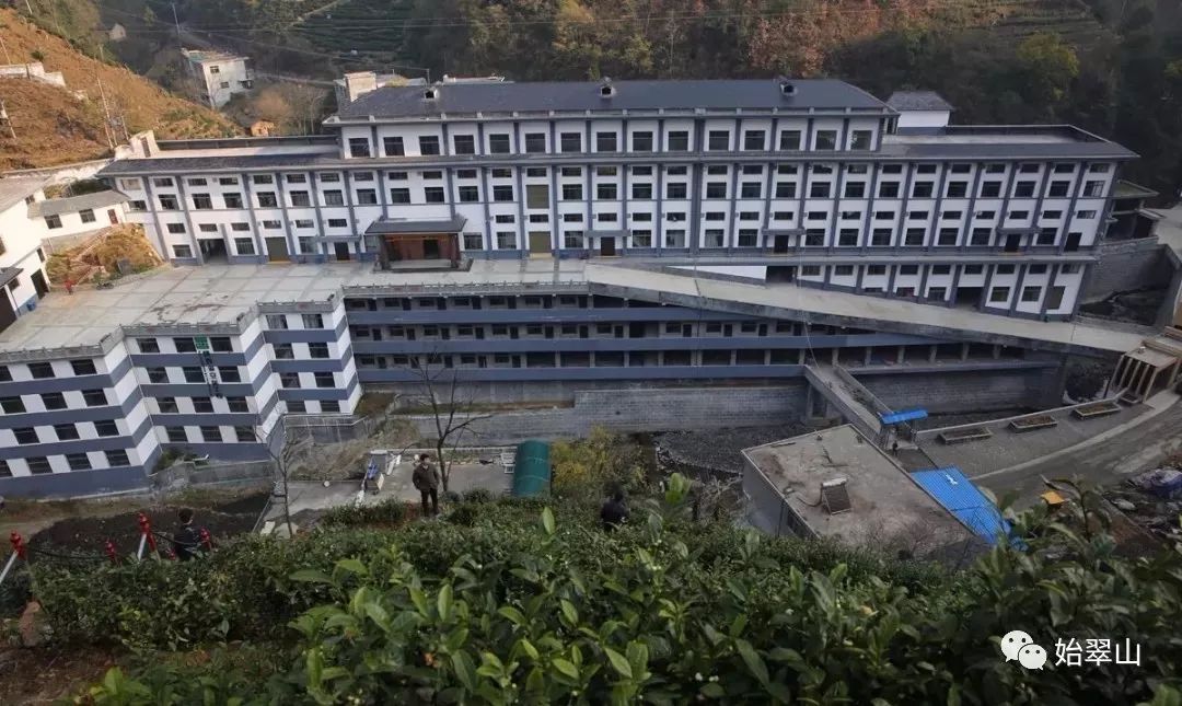 汉中炒青茶是不是富硒(汉中富硒绿茶)-硒宝网