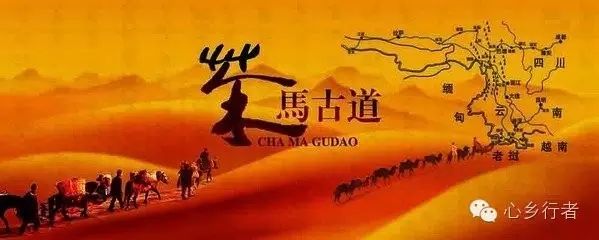 汉中炒青茶是不是富硒(汉中炒富硒是青茶还是红茶)-硒宝网