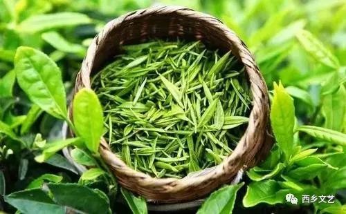 汉中炒青茶是不是富硒(汉中炒富硒是青茶还是黄茶)-硒宝网