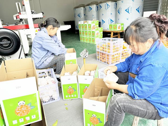 醇厚的恩施富硒茶价格(恩施富硒茶21年新茶价格)-硒宝网