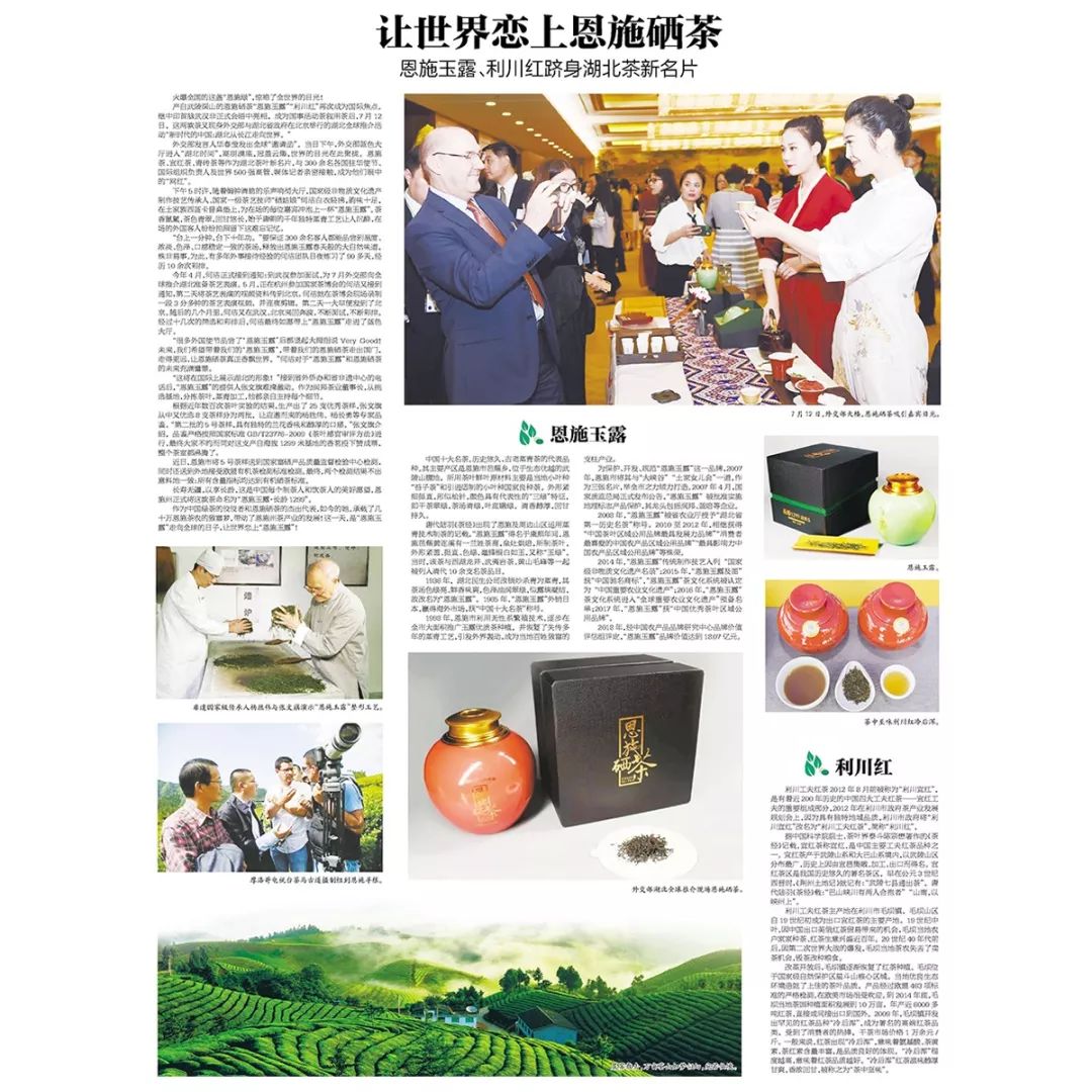 醇厚的恩施富硒茶价格(恩施富硒茶价格表)-硒宝网