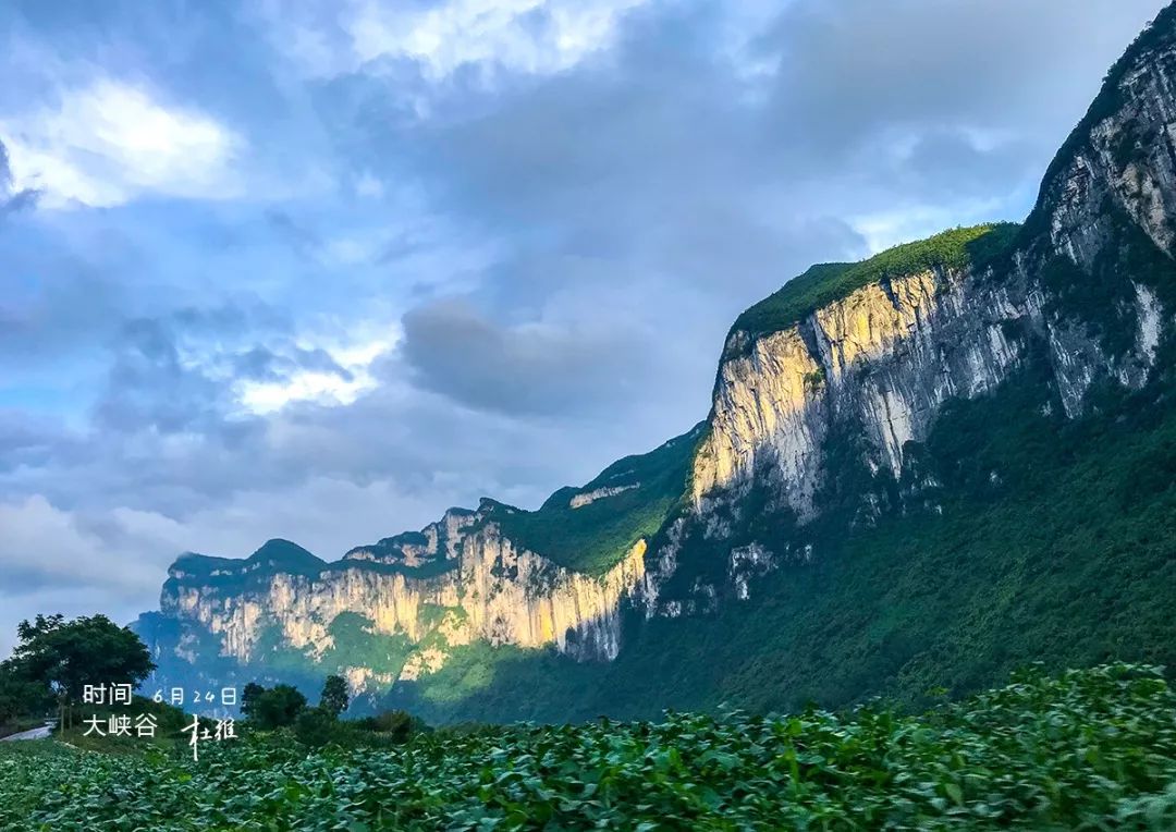醇厚的恩施富硒茶价格(恩施富硒茶价格表)-硒宝网