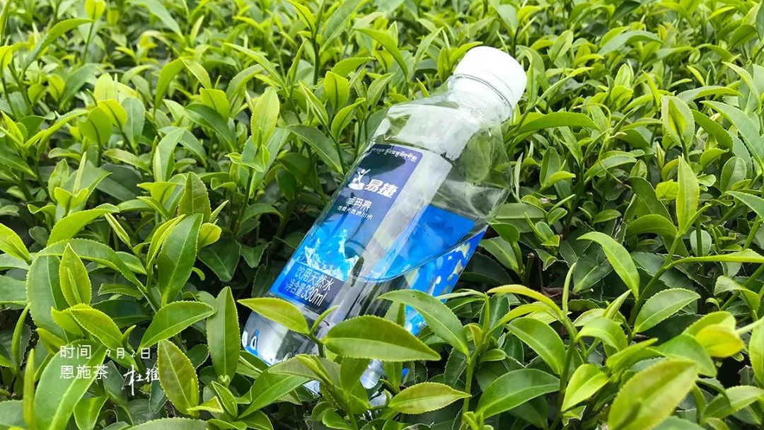 醇厚的恩施富硒茶价格(恩施富硒茶价格表)-硒宝网