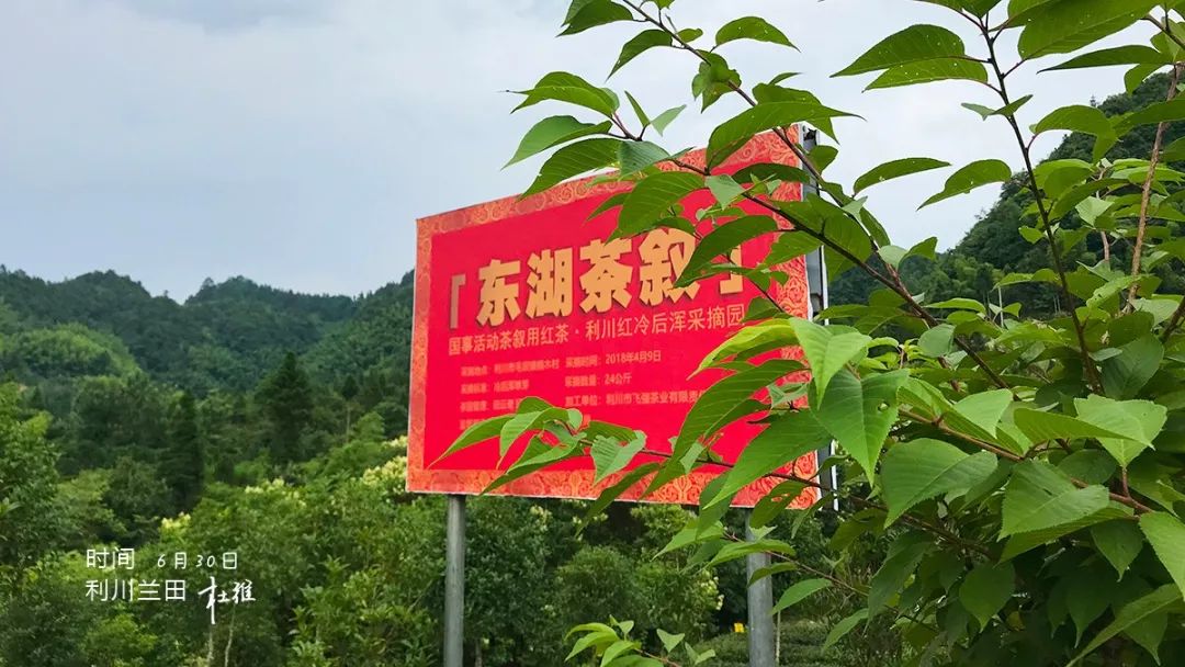 醇厚的恩施富硒茶价格(恩施富硒茶价格表)-硒宝网