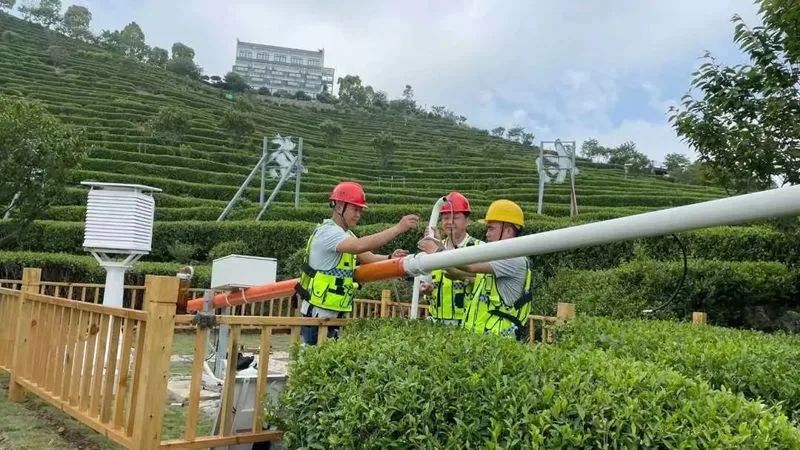 安康富硒茶可以采摘吗（安康采摘茶富硒可以种植吗）-硒宝网