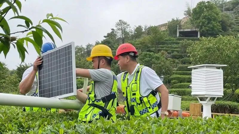 安康富硒茶可以采摘吗（安康采摘茶富硒可以种植吗）-硒宝网