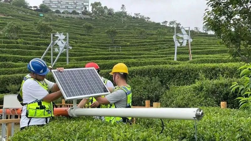安康富硒茶可以采摘吗（安康采摘茶富硒可以种植吗）-硒宝网