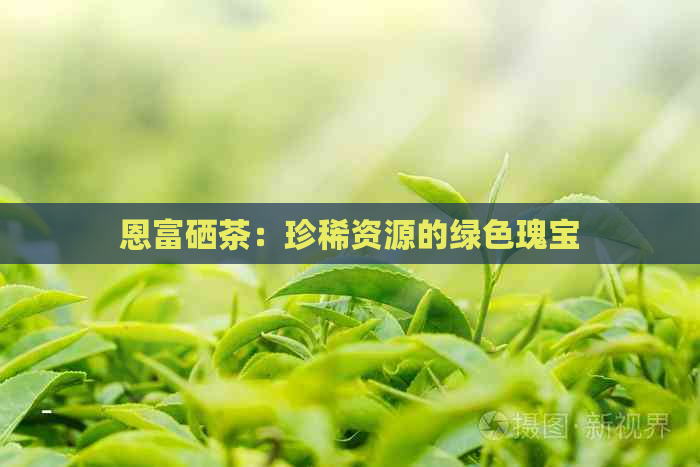 恩施富硒茶产地在哪里（湖北的恩施富硒茶厂）-硒宝网