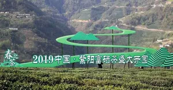 富硒清明茶有什么功效(富硒清明茶一斤)-硒宝网